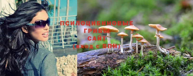 Галлюциногенные грибы Magic Shrooms  купить   Североморск 